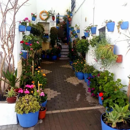 Casa Martin Calle Jurel, Viviendas Frente A La Playa En Barrio De Pescadores De Conil