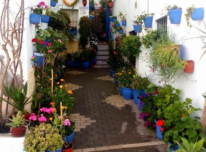 Casa Martin Calle Jurel, Viviendas Frente A La Playa En Barrio De Pescadores De Conil